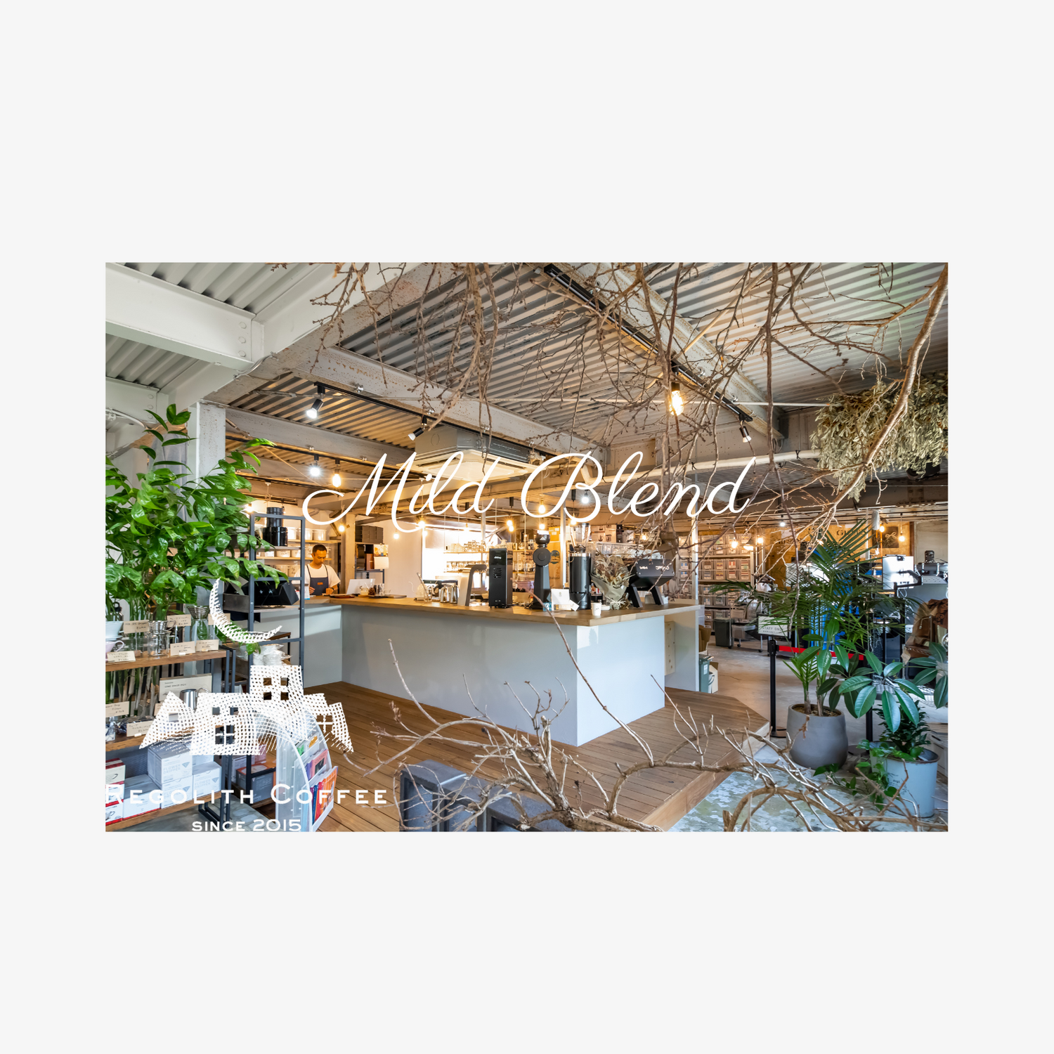 中煎りコーヒー豆