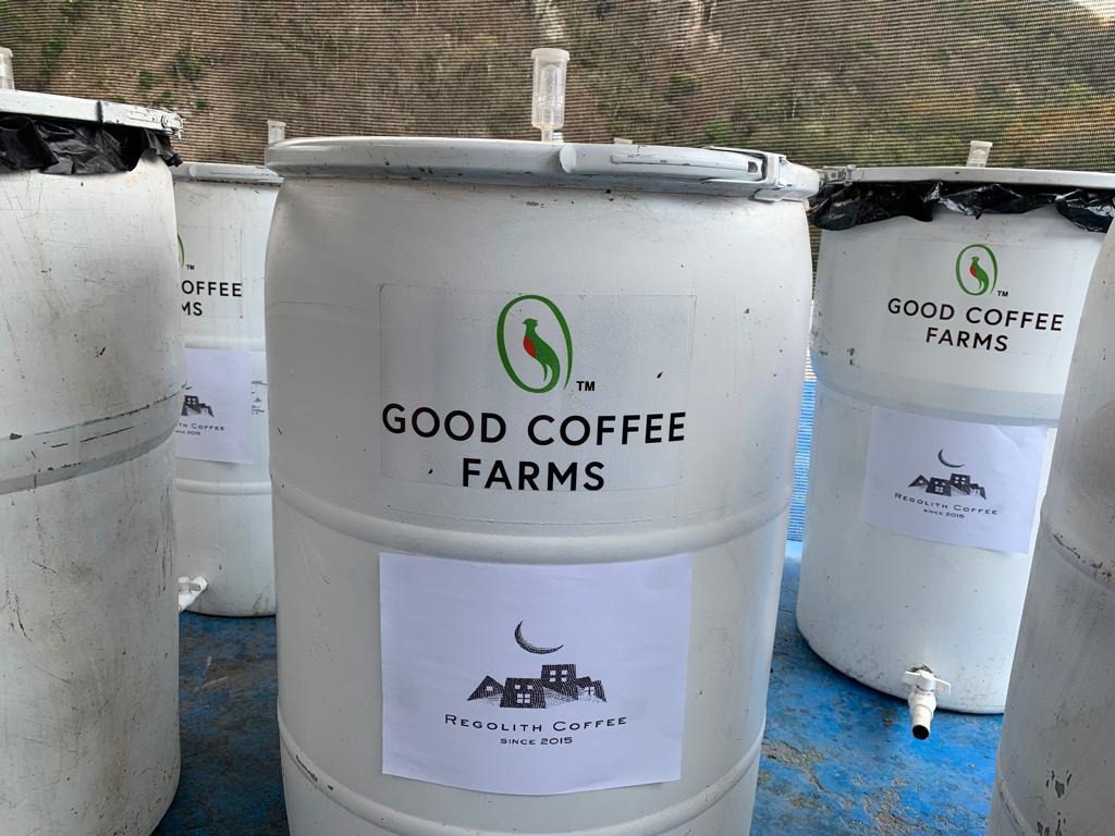Guatemala El Cerro Farm Yeast Anaerobic (Medium) (100g)