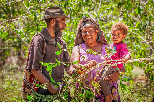 Papua New Guinea Alpha Coffee  (100g)