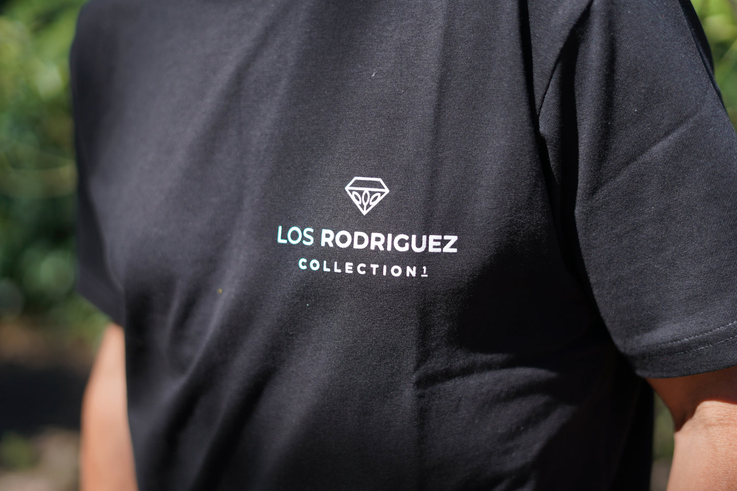 Bolivia Los Rodriguez Geisha AgriCafe (100g) 定期便商品