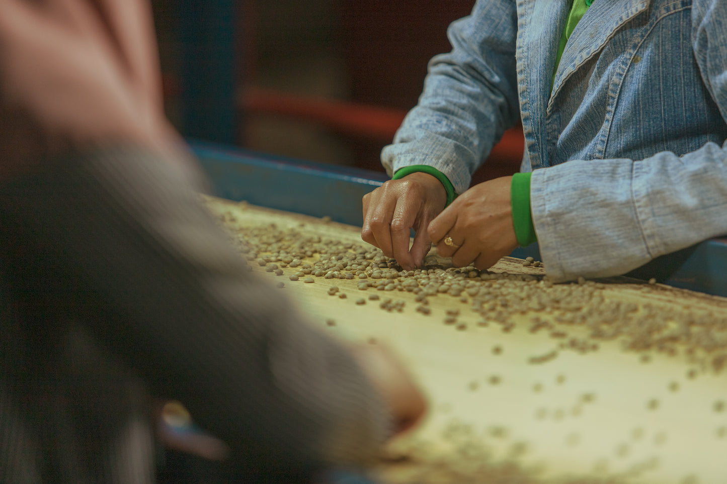 Indonesia Java Frinsa Estate (100g)