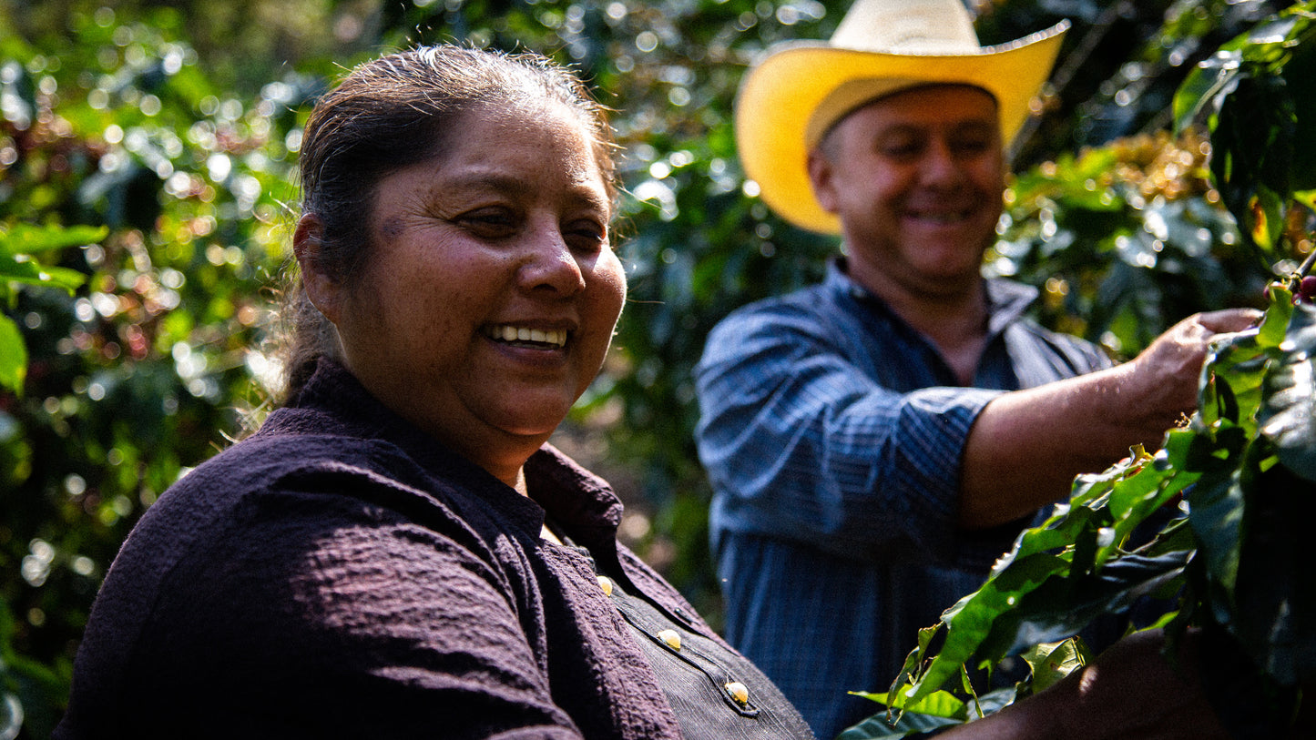 Guatemala La Nueva montana Primavera Coffee (100g)