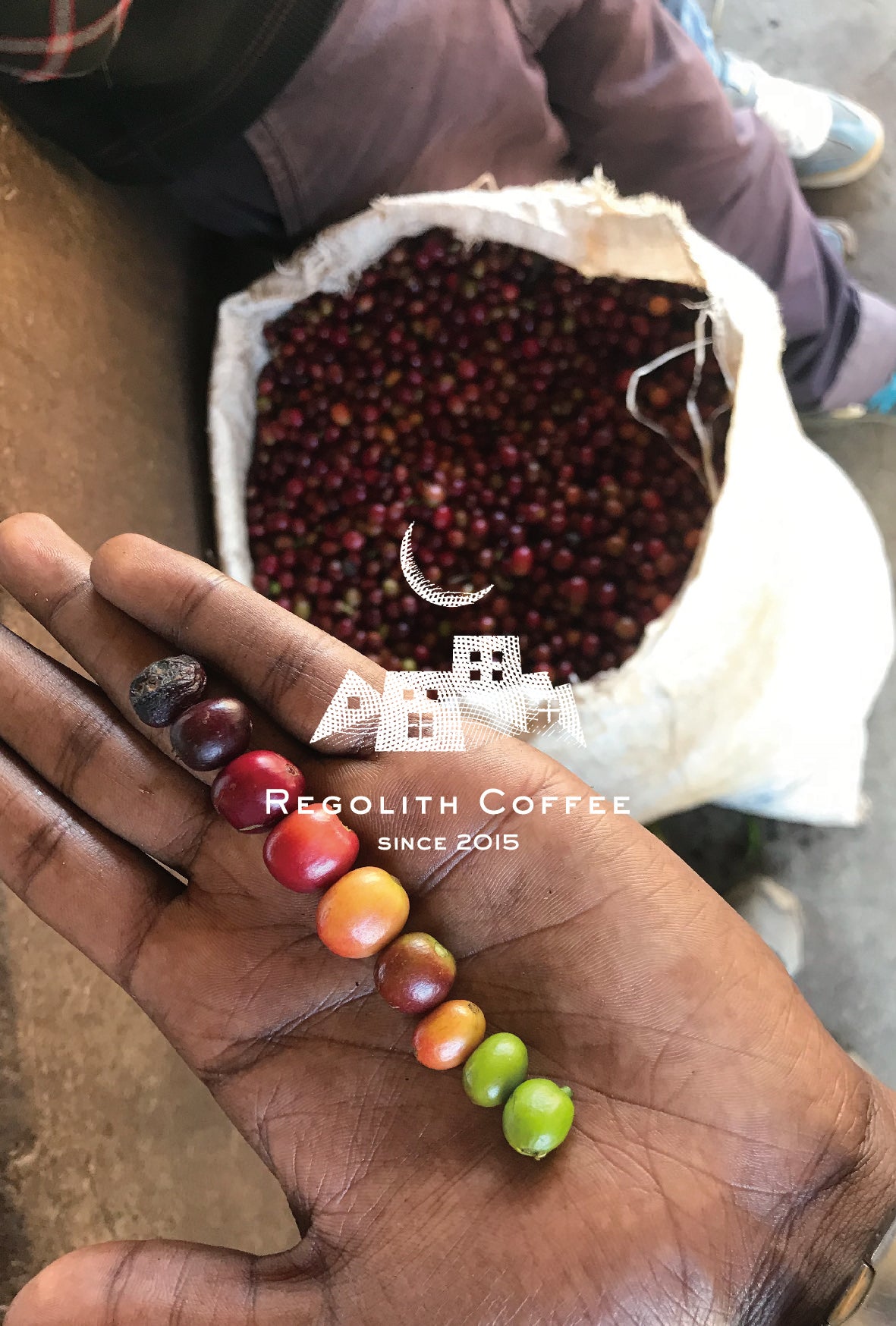 Ethiopia Shakiso Natural(100g)