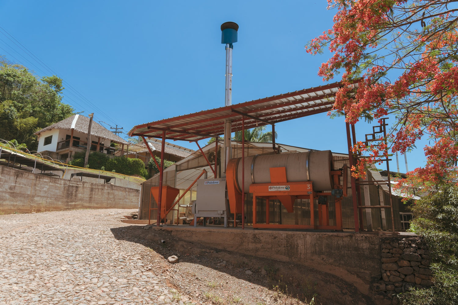 Bolivia Agricafe 2021/22 (100g)