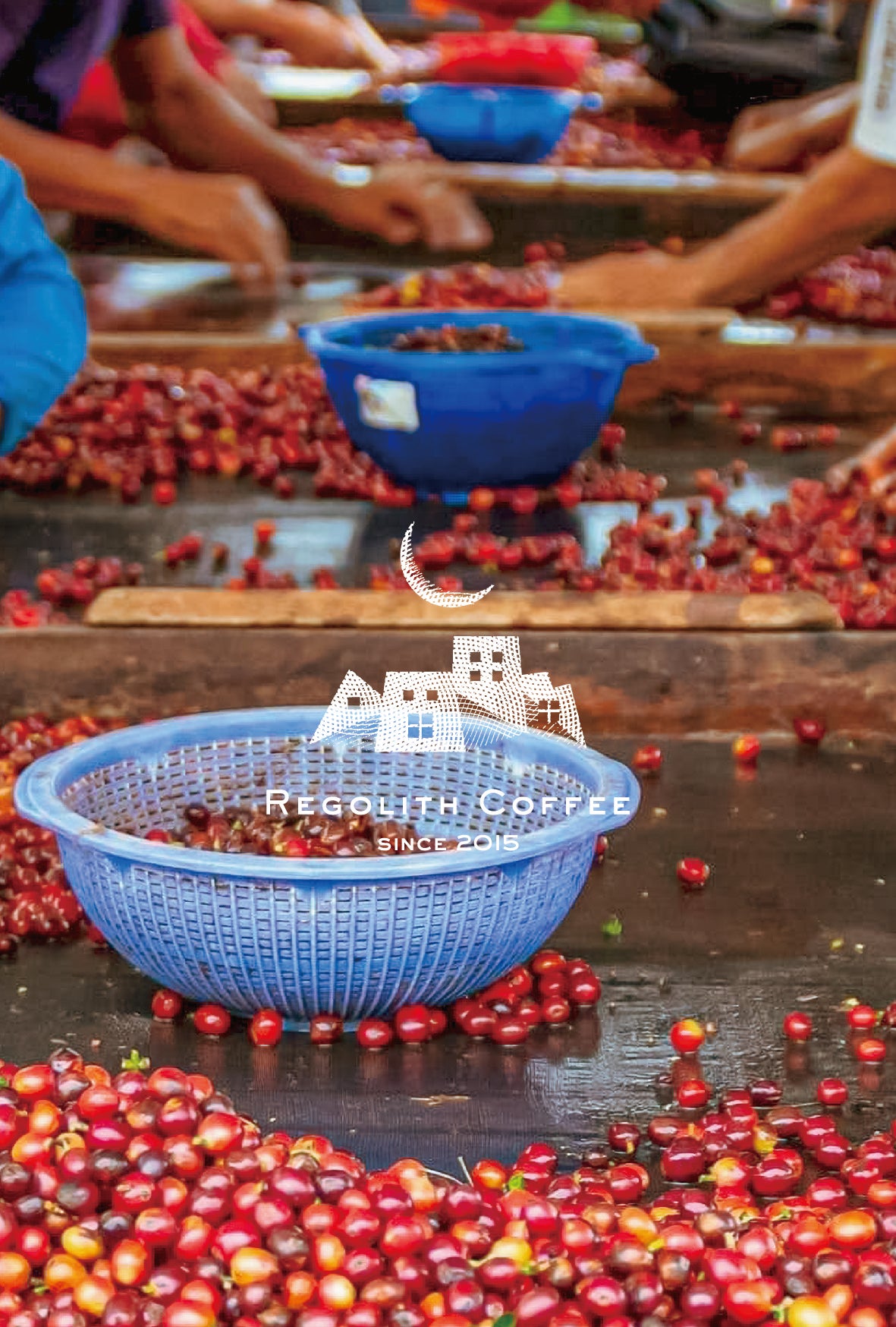 Papua New Guinea Alpha Coffee (100g)