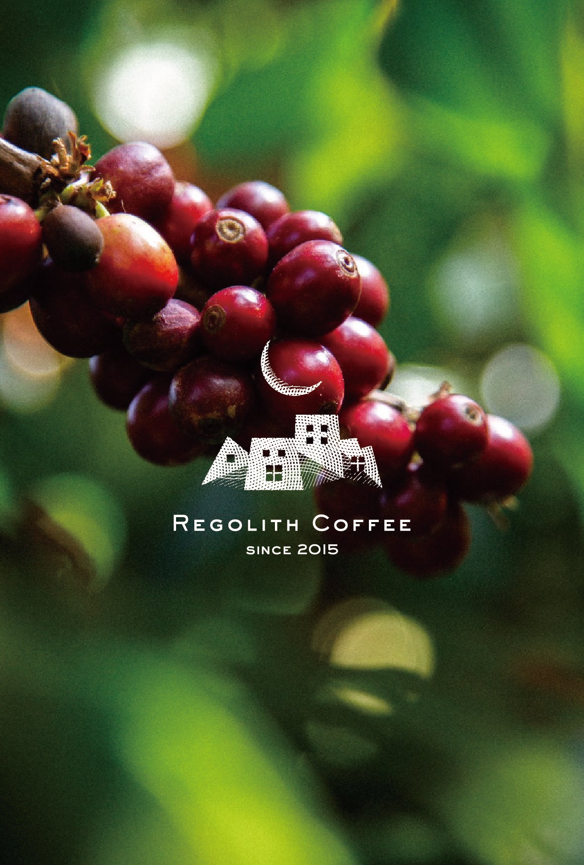 Guatemala La Nueva montana Primavera Coffee (100g)