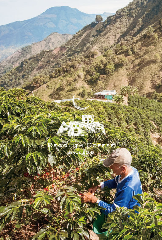 Colombia El Paraiso - Lychee (100g)