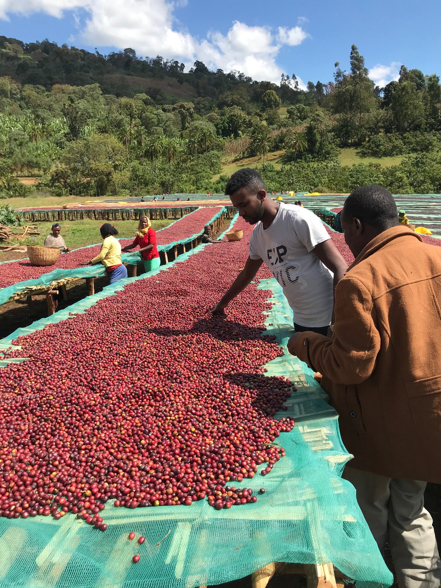 Ethiopia Shakiso Natural(100g)