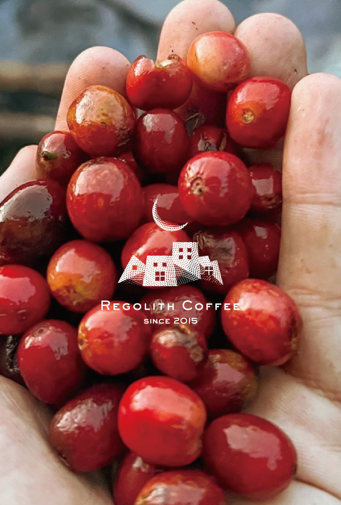 Rwanda Muzo CWS (100g)