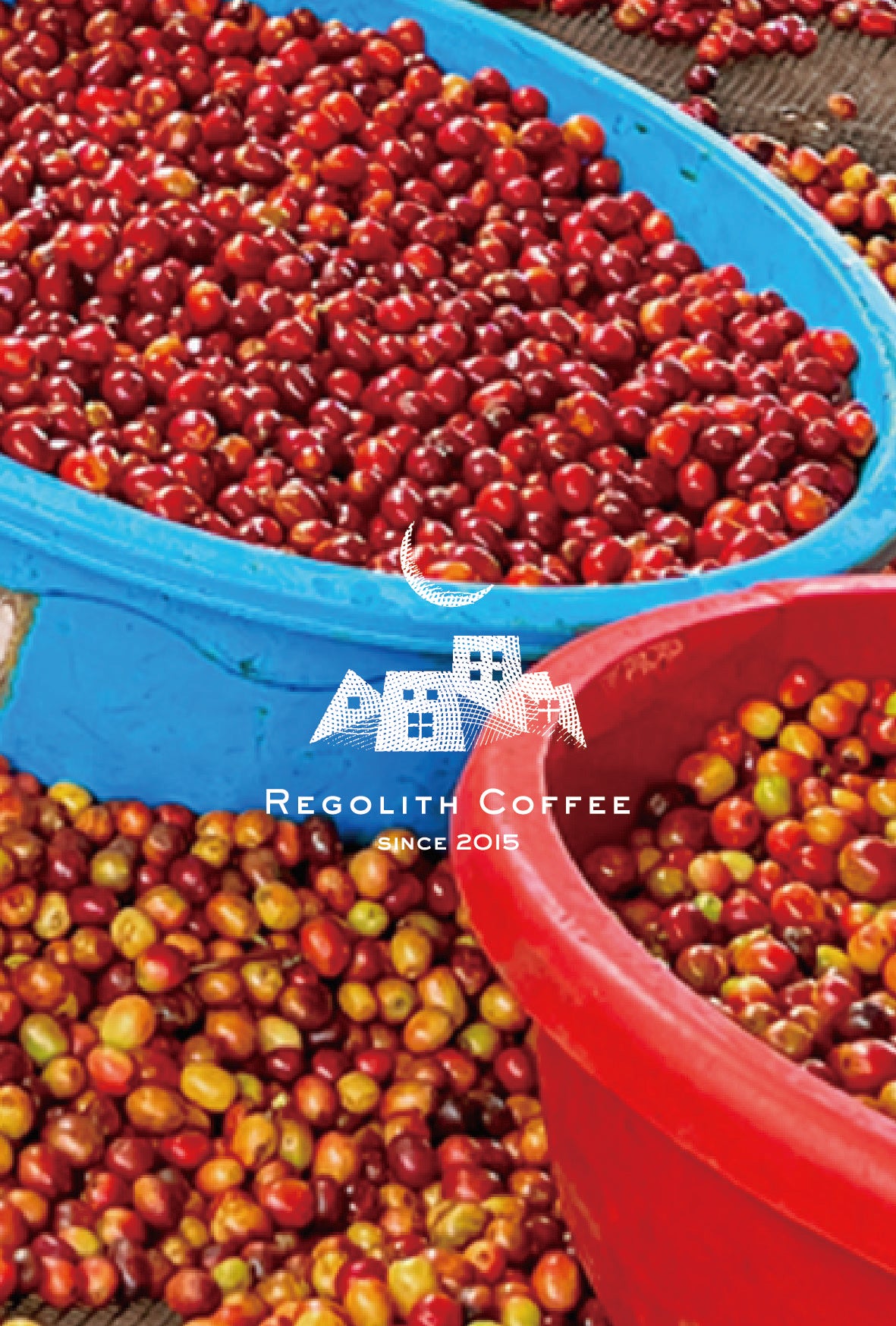 Rwanda Muzo CWS (100g)