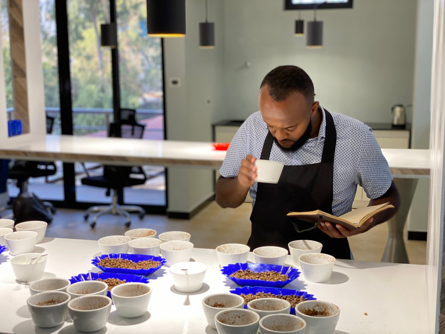 Ethiopia Oromia Washed Dark Roast (100g)