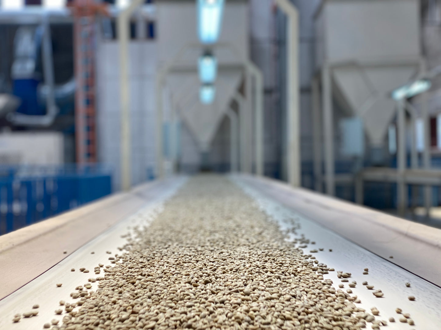 Ethiopia Oromia Washed Dark Roast (100g)