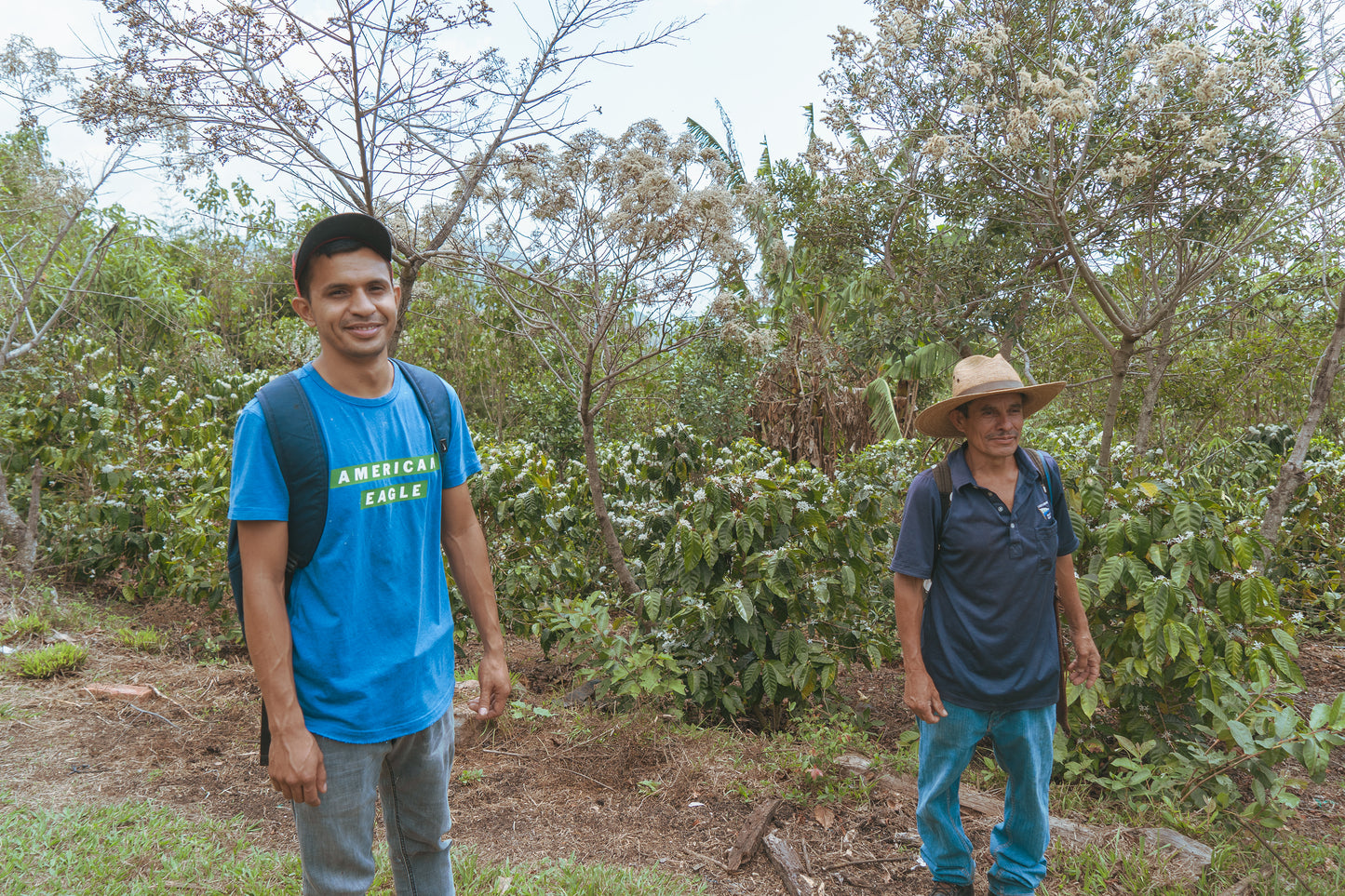El Salvador 12 of small producers (100g)