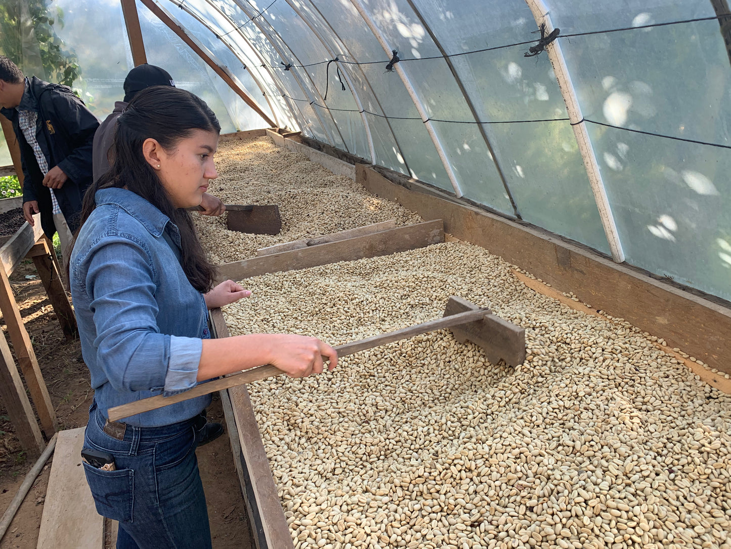 Honduras CAFESMO(Medium) (100g)