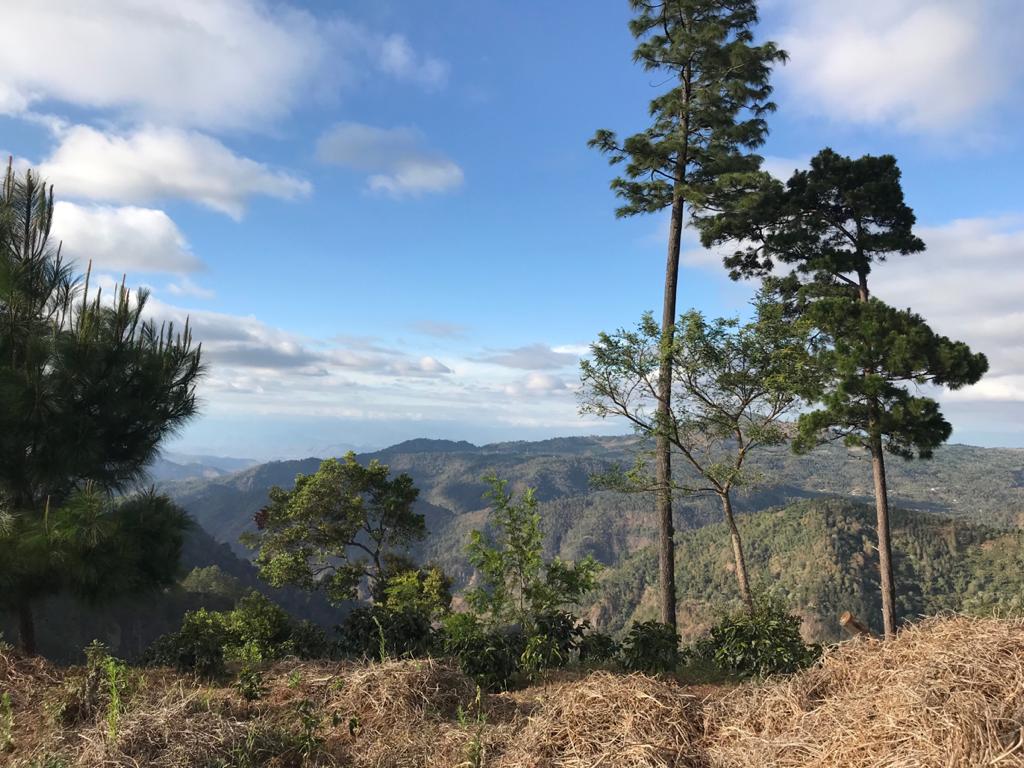 Guatemala El Cerro Farm (100g)