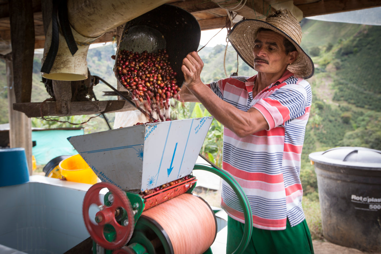 Colombia Cafe Pitaya (100g)