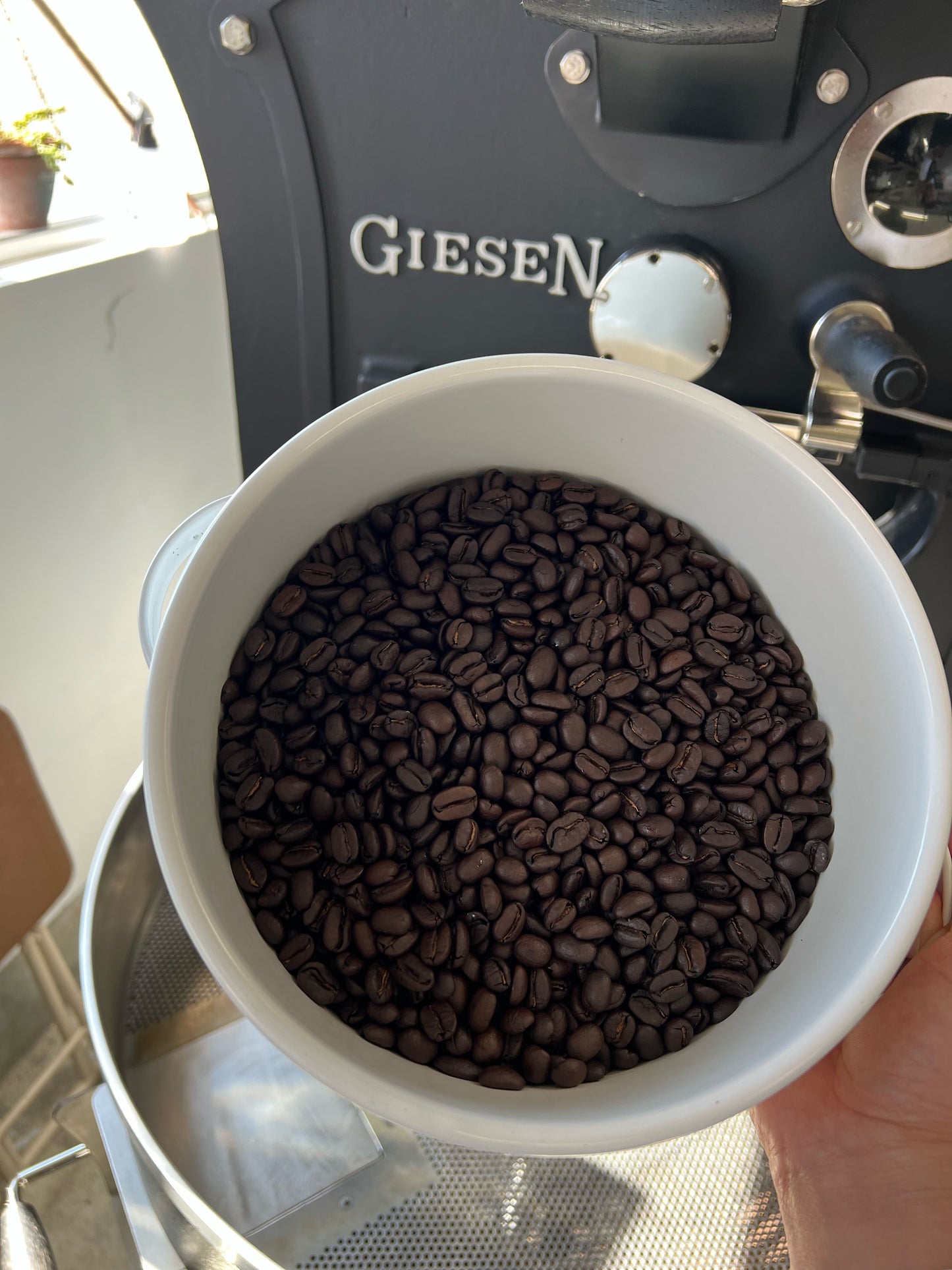 Peru Cedrobamba French roast (100g)