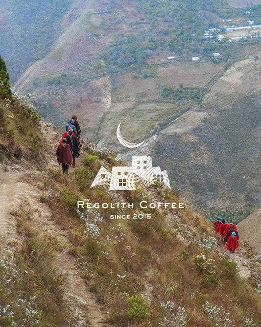 Peru Cedrobamba Light roast (100g)