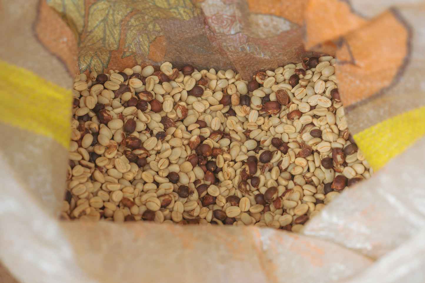 Peru Cedrobamba French roast (100g)