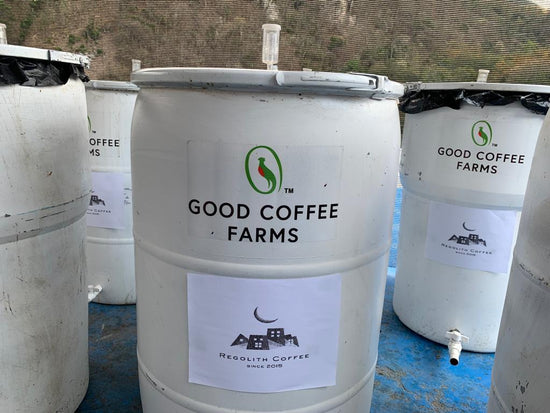 Guatemala El Cerro Farm Yeast Anaerobic (Medium) 2022/23 (100g)