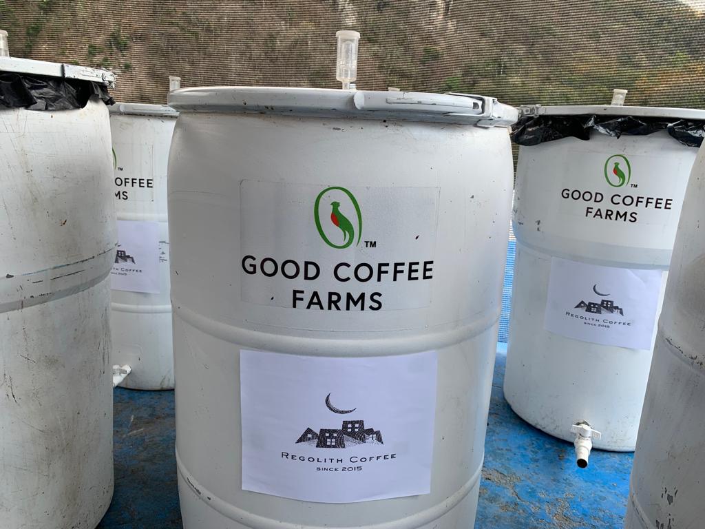 Guatemala El Cerro Farm Yeast Anaerobic （Medium)　2022/23（100g）定期商品