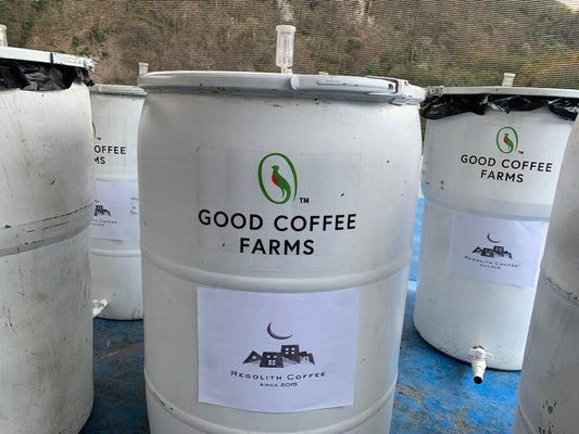 Guatemala El Cerro Farm Yeast Anaerobic （Medium)　（100g）定期商品
