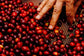 Colombia La Flores CATA Export   (100g)