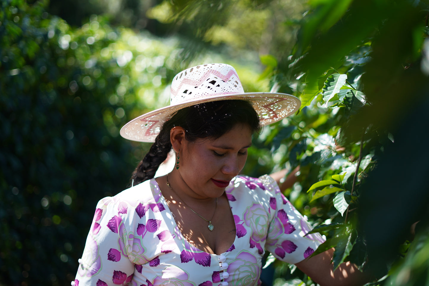Bolivia Los Rodriguez　Geisha   AgriCafe (100g)