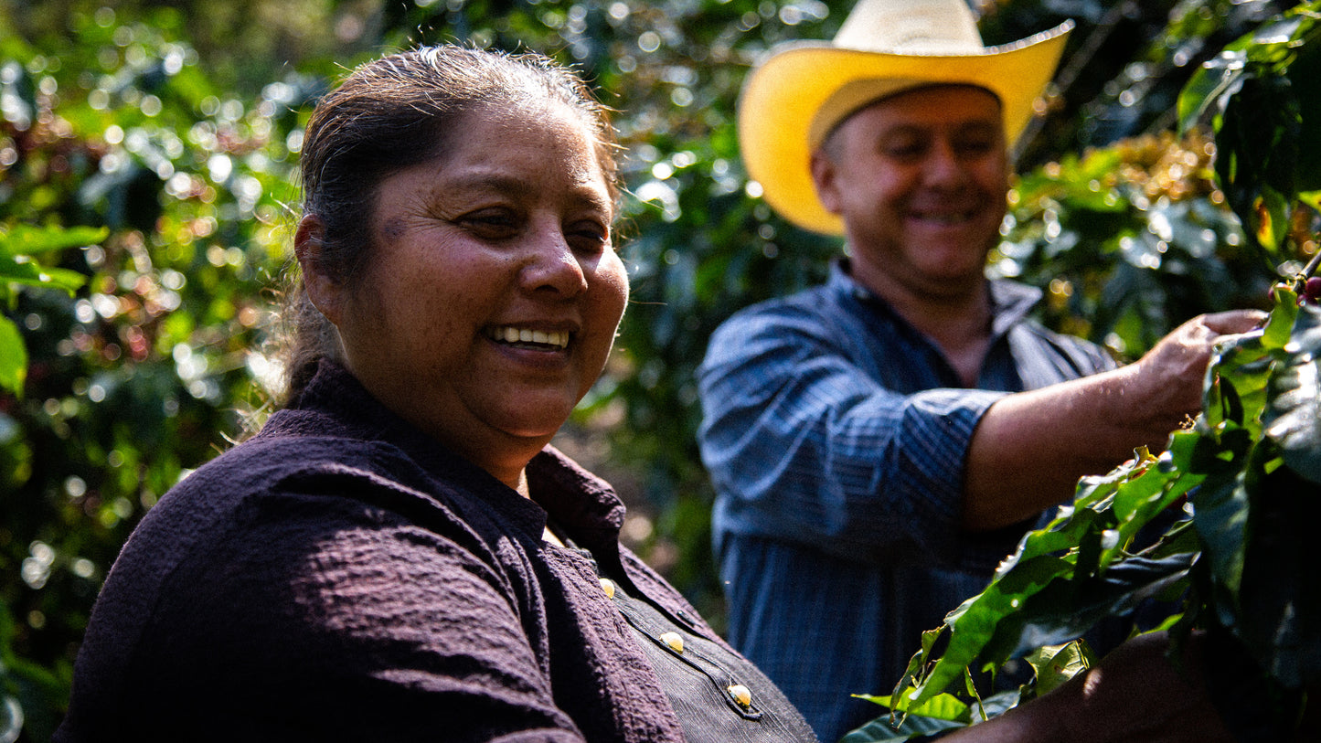 Guatemala La Nueva montana　Primavera Coffee (100g) 定期商品