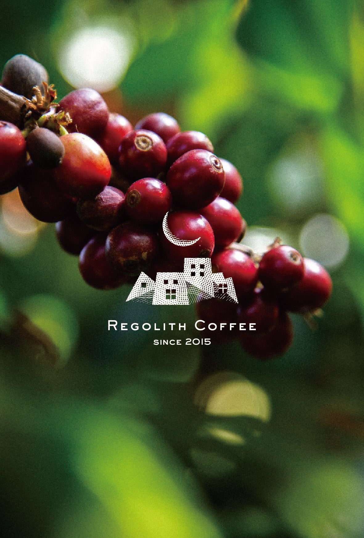 Guatemala La Nueva montana　Primavera Coffee 2023 (100g) 定期商品