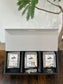 REGOLITH COFFEE GIFT