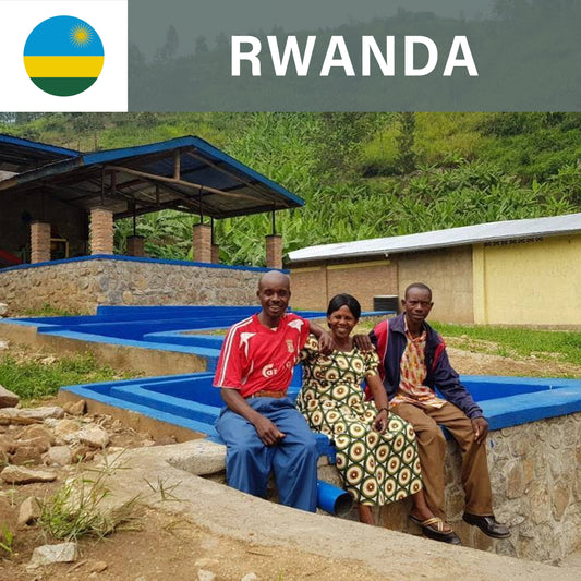 Rwanda Vunga CWS FW  (100g)定期商品