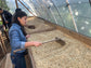 Guatemala El Cerro Farm Yeast Anaerobic (Medium) 2022/23 (100g)